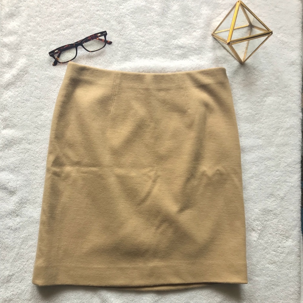 Ann Taylor Pencil Skirt ✏️